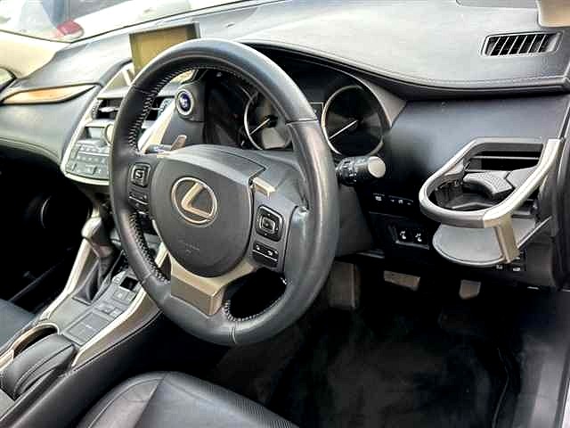 2014 Lexus NX 300H