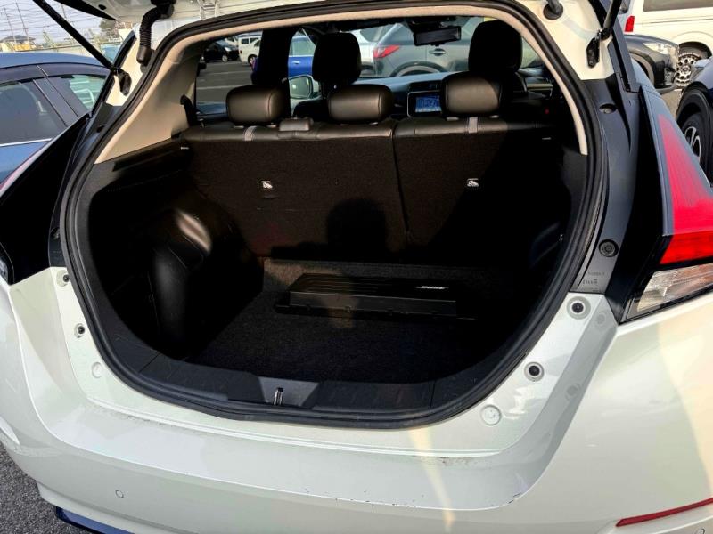 2021 Nissan Leaf e+ G 62kWh