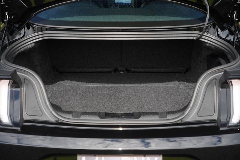 2021 Ford Mustang GT 5.0