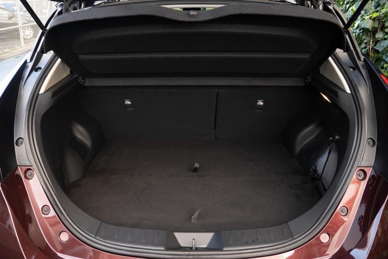 2021 Nissan Leaf E+ 89% SOH