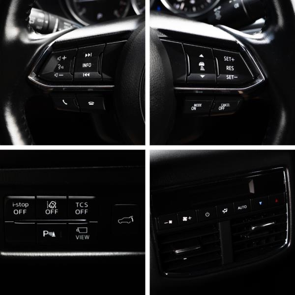 2018 Mazda CX-8 25T Proactive